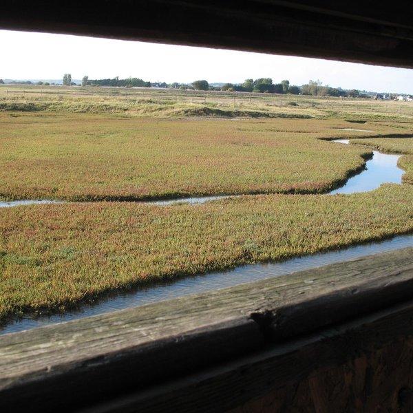 View of Rye nature reserve